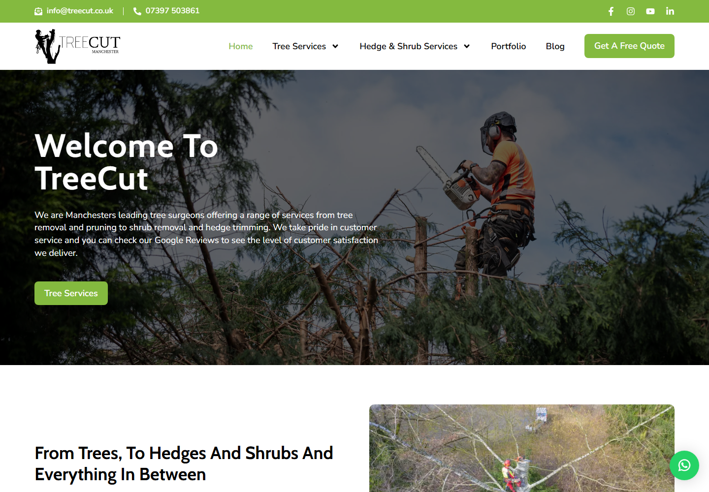 TreeCut website homepage